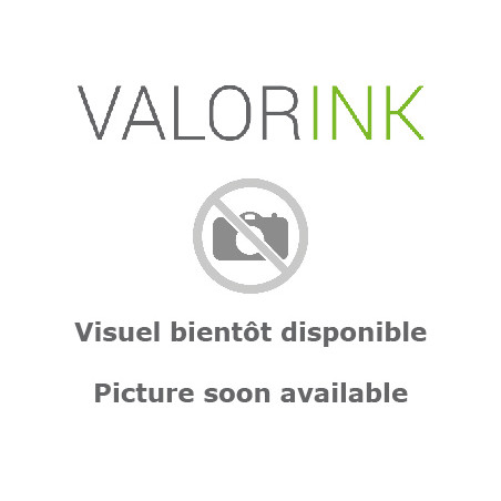 C. vide CANON® CL586 COULEUR RECYCLEE